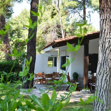 Villa Irini In Sani Sani (Chalkidiki) Exterior foto