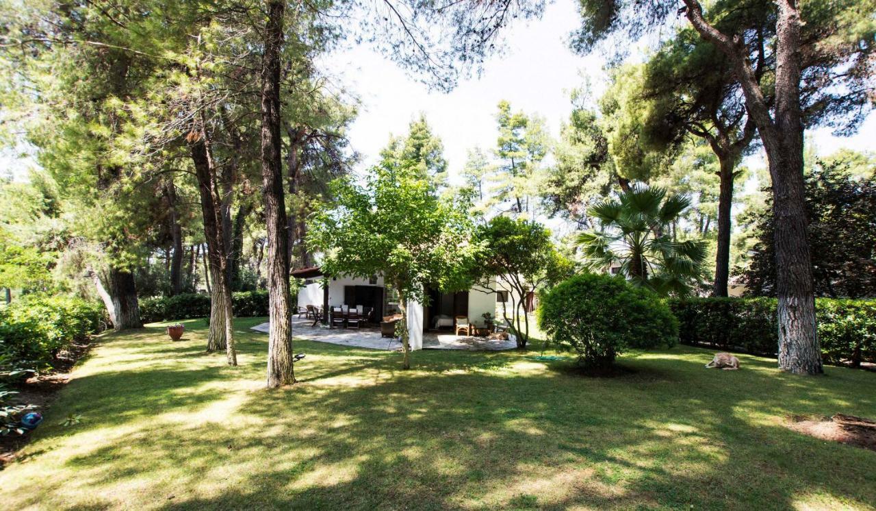 Villa Irini In Sani Sani (Chalkidiki) Exterior foto