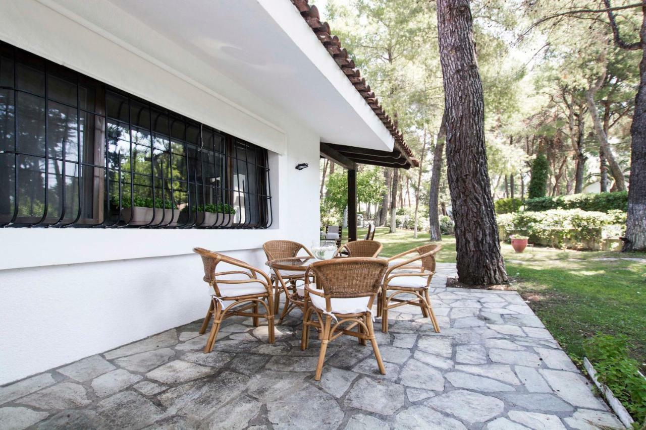Villa Irini In Sani Sani (Chalkidiki) Exterior foto
