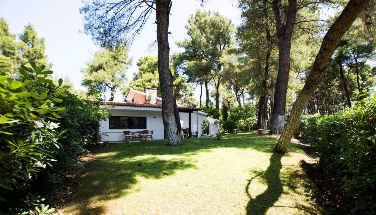 Villa Irini In Sani Sani (Chalkidiki) Exterior foto