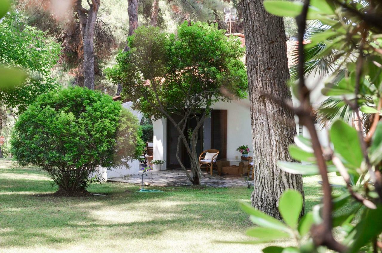 Villa Irini In Sani Sani (Chalkidiki) Exterior foto